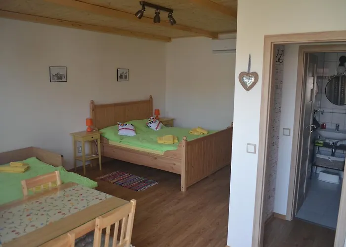 Apartment U Muzea Hracek *